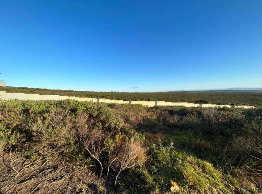 0 Bedroom Property for Sale in Blue Waters Estate Eastern Cape